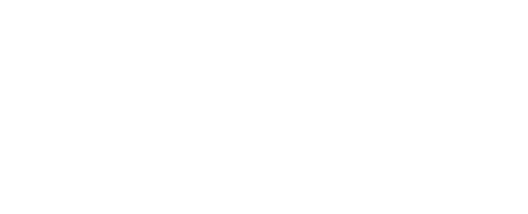 light logo